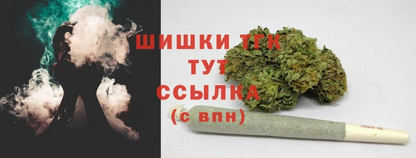 тгк Ладушкин