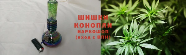 тгк Ладушкин