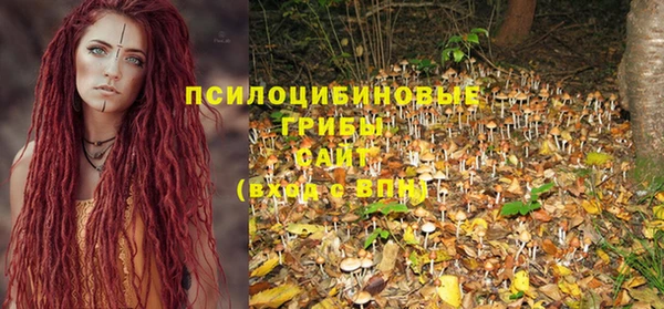 тгк Ладушкин