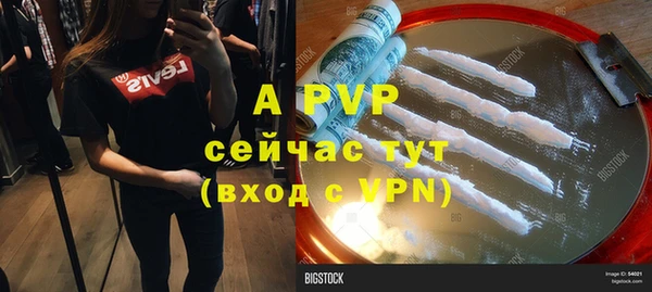 тгк Ладушкин